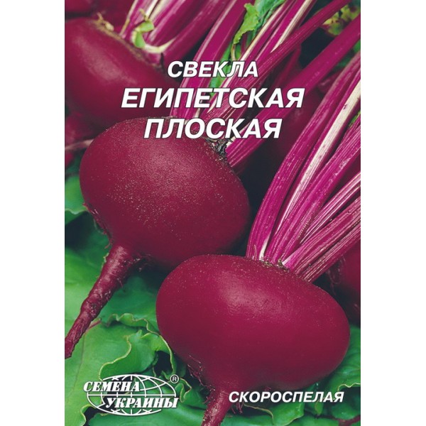 Гігант Буряк Єгипетський плоский /20г/